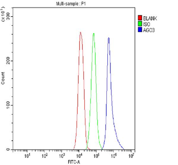 AGO3 Rabbit Polyclonal Antibody
