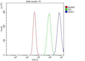 TORC1/CRTC1 Antibody