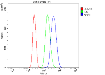 HAP1 Rabbit Polyclonal Antibody