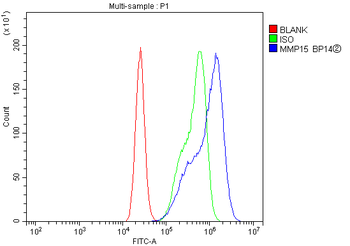 MT2-MMP/MMP15/MT2 Rabbit Polyclonal Antibody