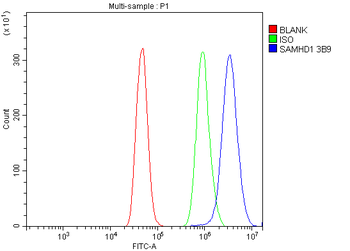 SAMHD1 Antibody (monoclonal, 3B9)