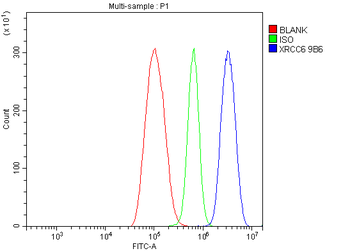 Ku70 Antibody (monoclonal, 9B6)
