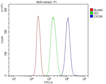 CXCR4 Antibody