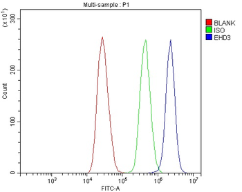 EHD3 Antibody