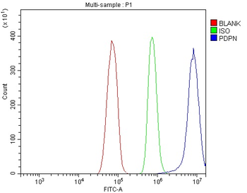 Podoplanin/gp36/Pdpn Rabbit Polyclonal Antibody