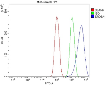 SRD5A1 Antibody