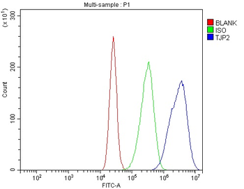 TJP2/ZO2 Antibody
