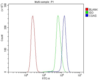 CGAS Rabbit Polyclonal Antibody
