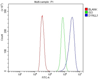 DYNLL1/PIN Antibody