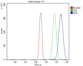 STIL/SIL Rabbit Polyclonal Antibody