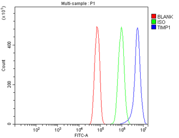TIMP1 Rabbit Polyclonal Antibody