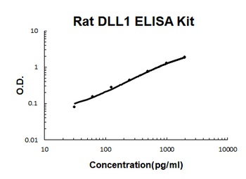 Rat DLL1 ELISA Kit