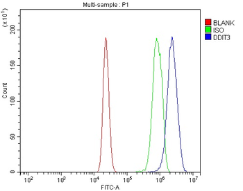 Ddit3 Rabbit Polyclonal Antibody