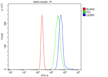 LILRB1 Antibody