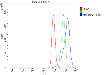 Hsp90 alpha Antibody (monoclonal, 6B5)
