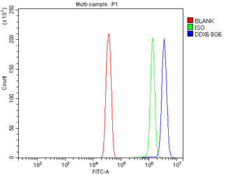 DDX6 Mouse Monoclonal Antibody