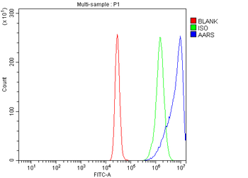 AlaRS/AARS1 Rabbit Polyclonal Antibody