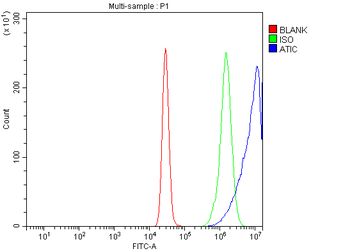 ATIC Rabbit Polyclonal Antibody