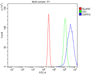 ZIP Kinase/Dapk3 Rabbit Polyclonal Antibody