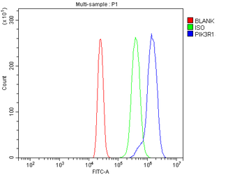 PI 3 Kinase p85 alpha/PIK3R1 Antibody