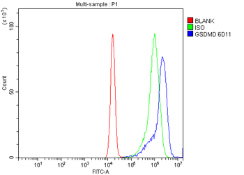 GSDMD Antibody (monoclonal, 6D11)
