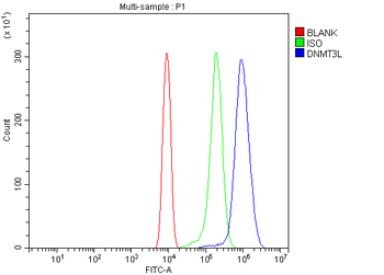 Dnmt3l Rabbit Polyclonal Antibody