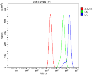Integrin linked ILK Antibody