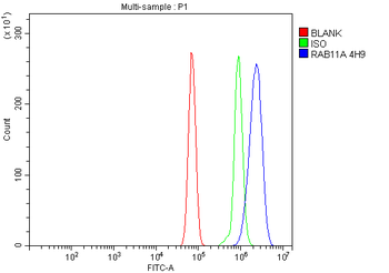 Rab11A Antibody (monoclonal, 4H9)