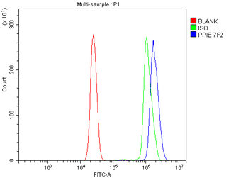 Cyclophilin E/PPIE Antibody (monoclonal, 7F2)
