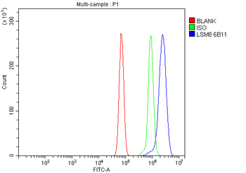 LSM8 Antibody (monoclonal, 6B11)