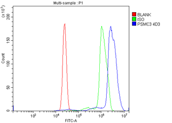 TBP-1/PSMC3 Antibody (monoclonal, 4D3)