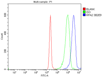 RPA32/RPA2 Antibody (monoclonal, 3B2E9)