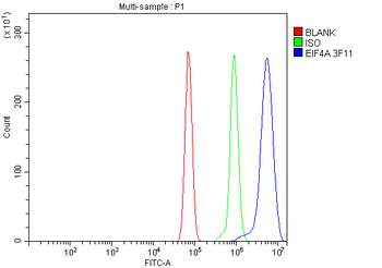 EIF4A1 Antibody (monoclonal, 3F11)