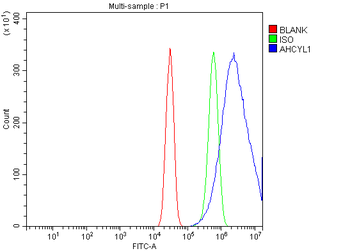 IRBIT/AHCYL1 Antibody