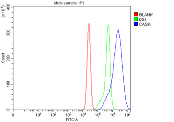 CASK Rabbit Polyclonal Antibody
