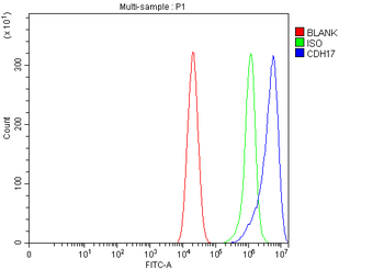 LI Cadherin/CDH17 Antibody
