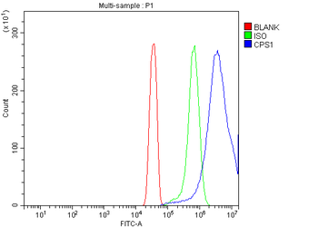 CPS1 Rabbit Polyclonal Antibody