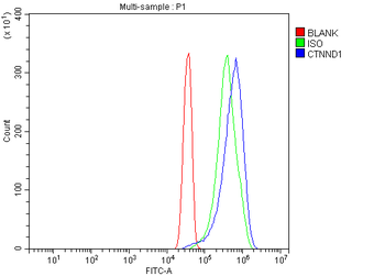 delta 1 Catenin/CAS/CTNND1 Antibody