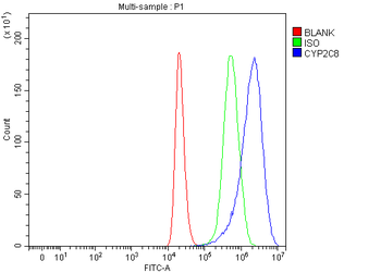 CYP2C8 Rabbit Polyclonal Antibody