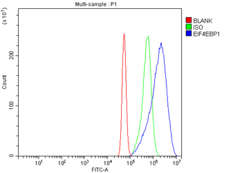EIF4EBP1 Antibody