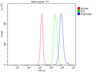 PEPP2/PLEKHA5 Rabbit Polyclonal Antibody
