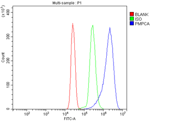 PMPCA/INPP5 Antibody