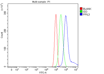 PPIL3 Rabbit Polyclonal Antibody