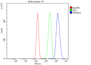 SH3GL2 Antibody