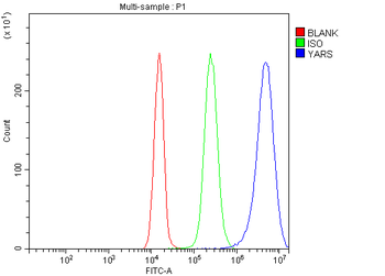 YARS1 Rabbit Polyclonal Antibody