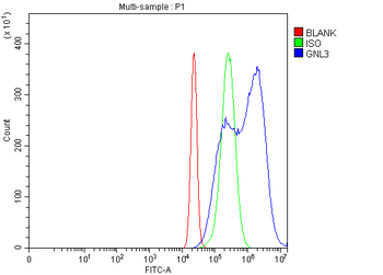 Nucleostemin/GNL3 Antibody