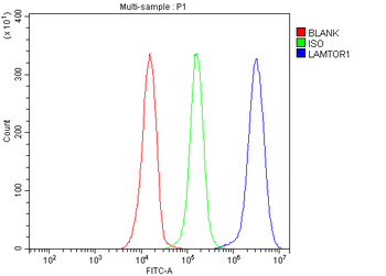 LAMTOR1 Rabbit Polyclonal Antibody