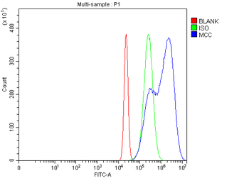 MCC Rabbit Polyclonal Antibody