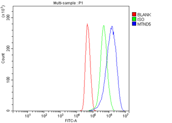 MT-ND5 Antibody