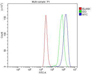 c-Myc/MYC Rabbit Polyclonal Antibody